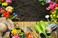 What to do in the garden in March